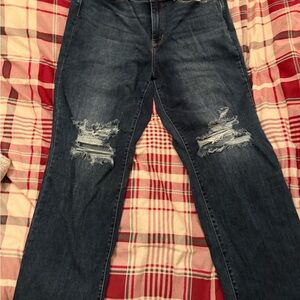 Judy Blue Women's Distressed Blue Jeans - Size 18W